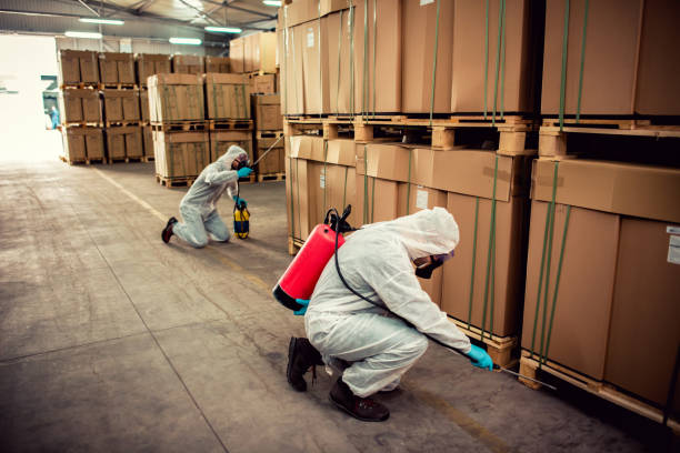 Best Pest Removal Services  in Rion Center, MA