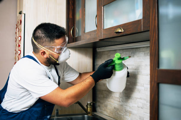 Professional Pest Control in Marion Center, MA