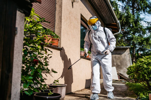 Best Local Pest Control Services  in Rion Center, MA