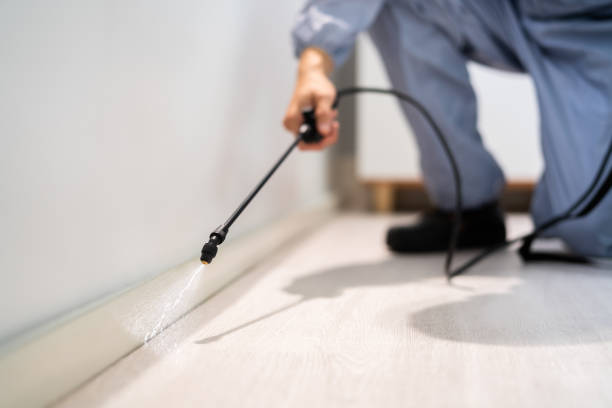 Best Commercial Pest Control Services  in Rion Center, MA