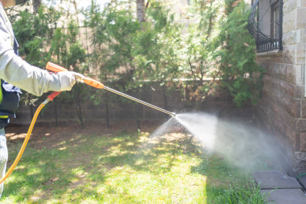 Best Spider Control Near Me  in Rion Center, MA