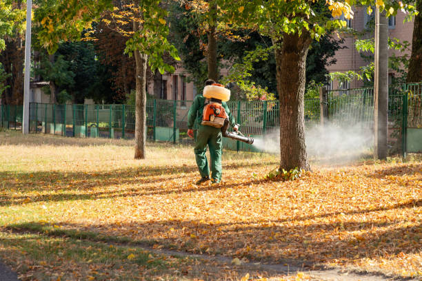Best Affordable Pest Control Services  in Rion Center, MA