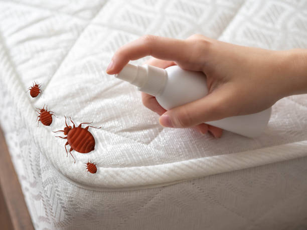Best Commercial Pest Control Services  in Rion Center, MA
