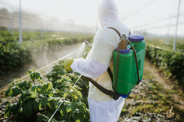 Best Bed Bug Extermination  in Rion Center, MA